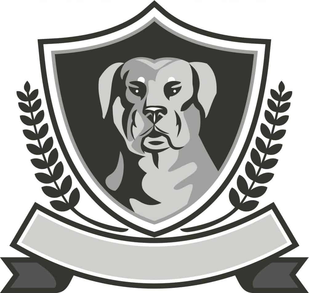 1607084933 919 Are Rottweilers Good Service Dogs ¿Es posible entrenar a un rottweiler como perro de servicio?