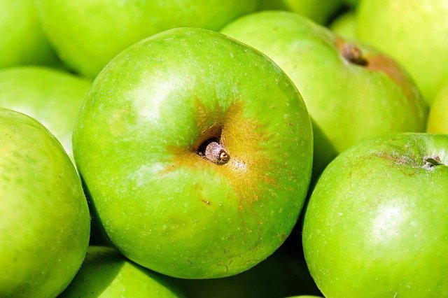 ¿Los perros pueden comer manzanas?