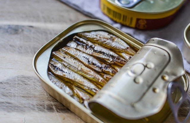 ¿Los perros pueden comer sardinas de lata?