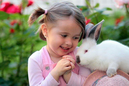 ¿entienden los conejos el lenguaje humano?