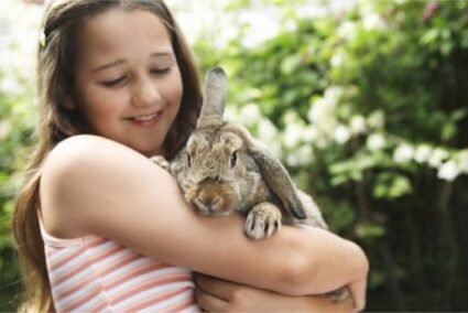 pros y contras de tener un conejo como mascota
