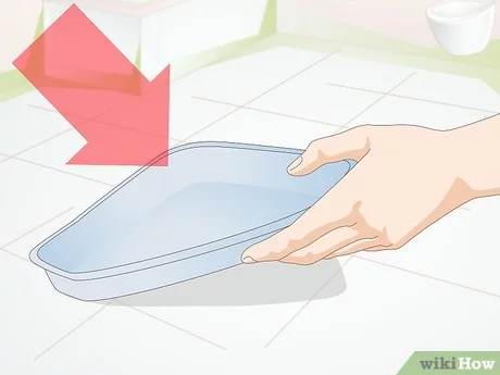 Cómo enseñar a un hámster a ir al baño