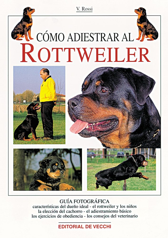 es posible entrenar a un rottweiler como perro de servicio ¿Es posible entrenar a un rottweiler como perro de servicio?