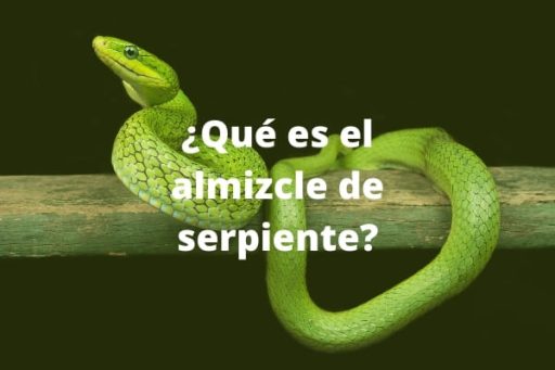por que algunas serpientes huelen como a huevos podridos o a orina ¿Por qué algunas serpientes huelen como a huevos podridos o a orina?